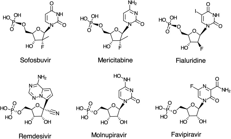 Mechanisms of inhibition of viral RNA replication by nucleotide analogs.