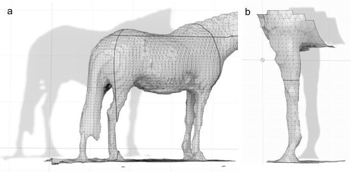 Body measurement of riding horses with a versatile tablet-type 3D scanning device.