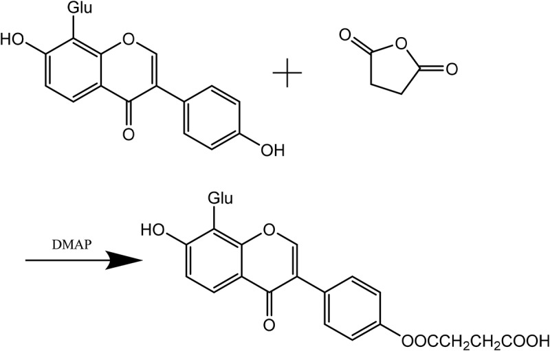 Preparation and properties of Pue-loaded HA-ADH-PS nanomicelles.