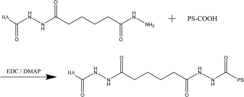 Preparation and properties of Pue-loaded HA-ADH-PS nanomicelles.