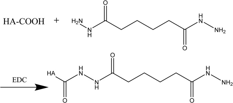 Preparation and properties of Pue-loaded HA-ADH-PS nanomicelles.