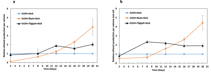 Engineered cyanobacteria with additional overexpression of selected Calvin-Benson-Bassham enzymes show further increased ethanol production