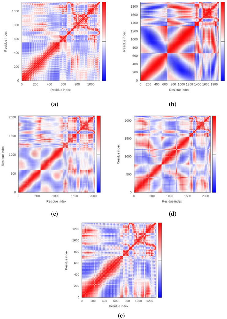 Designing a conserved peptide-based subunit vaccine against SARS-CoV-2 using immunoinformatics approach.