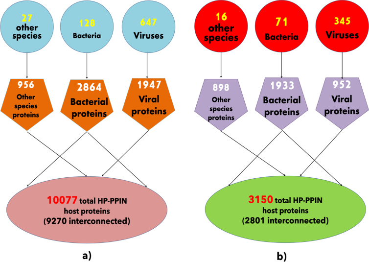 Network analysis of host-pathogen protein interactions in microbe induced cardiovascular diseases.