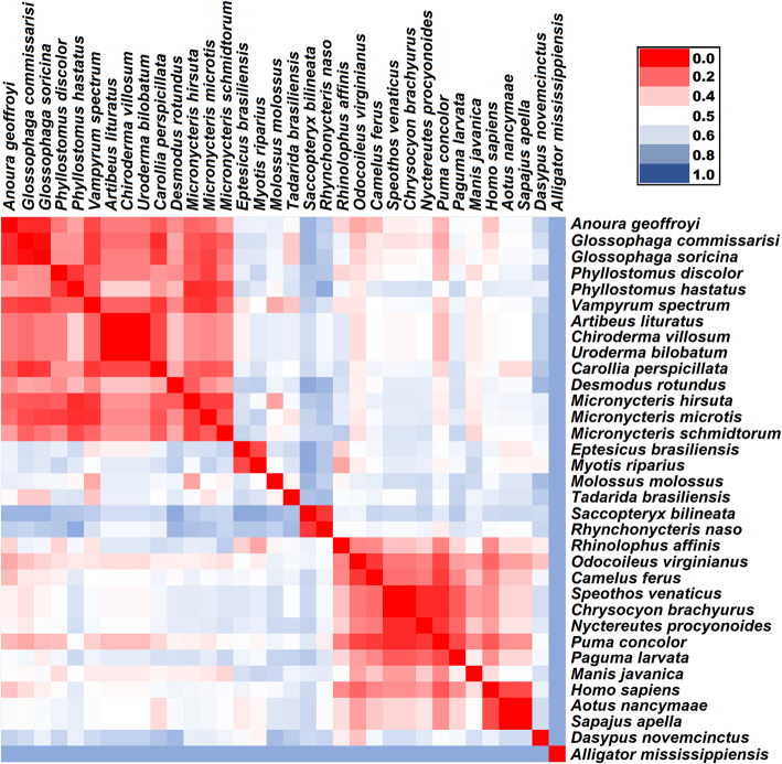 Prediction of SARS-CoV-2 hosts among Brazilian mammals and new coronavirus transmission chain using evolutionary bioinformatics.