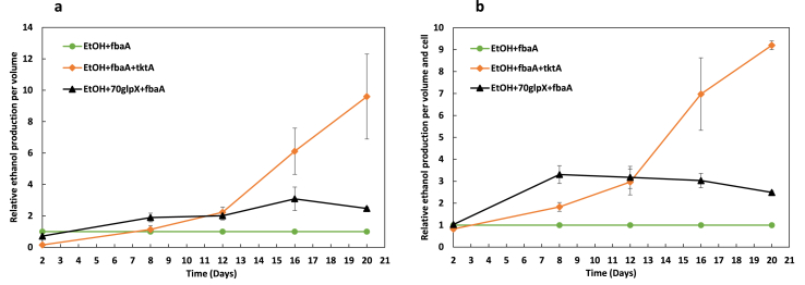 Engineered cyanobacteria with additional overexpression of selected Calvin-Benson-Bassham enzymes show further increased ethanol production