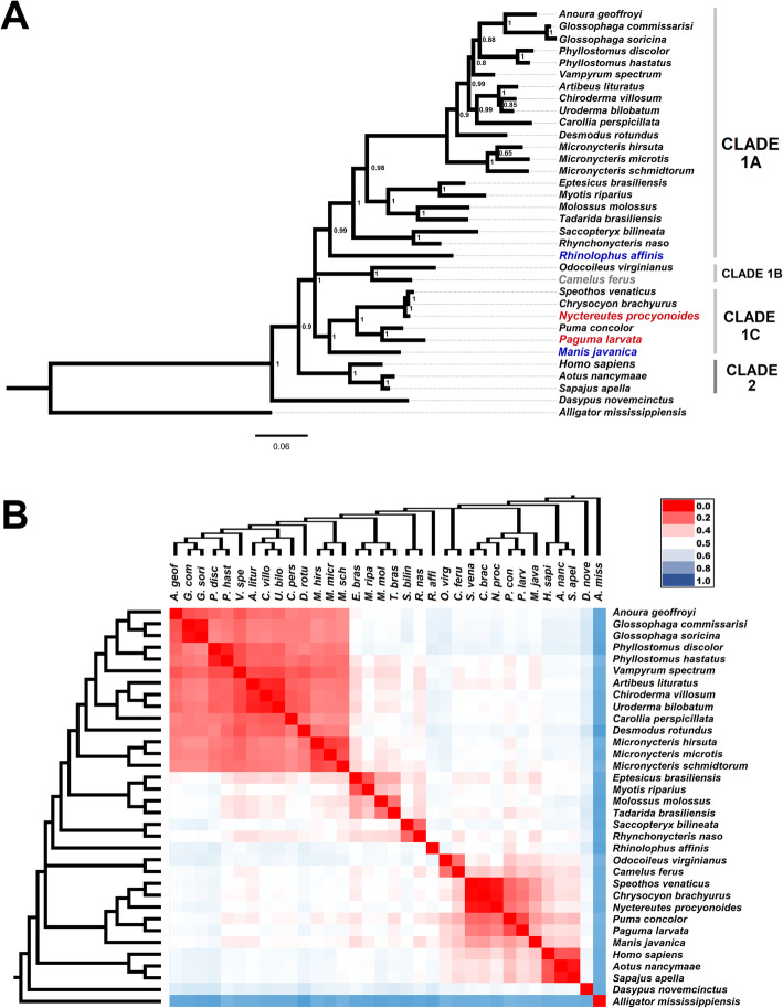 Prediction of SARS-CoV-2 hosts among Brazilian mammals and new coronavirus transmission chain using evolutionary bioinformatics.