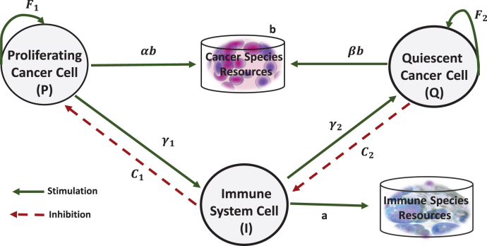 Cancer immunoediting: A game theoretical approach.