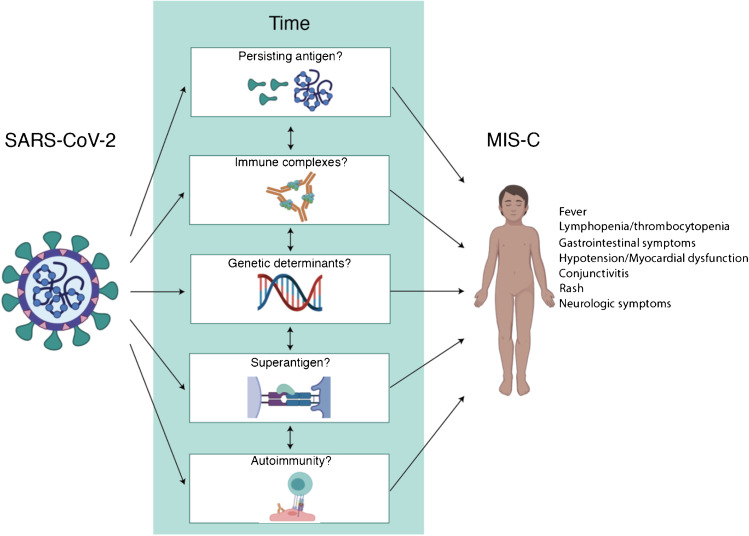 Current Insights Into the Pathophysiology of Multisystem Inflammatory Syndrome in Children.