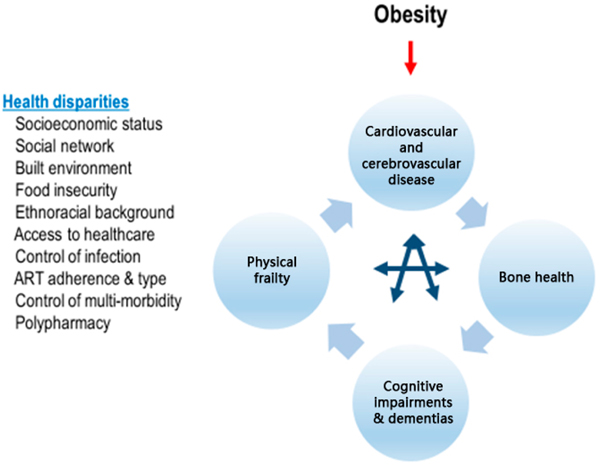 Obesity, Vascular Disease and Frailty in Aging Women with HIV.