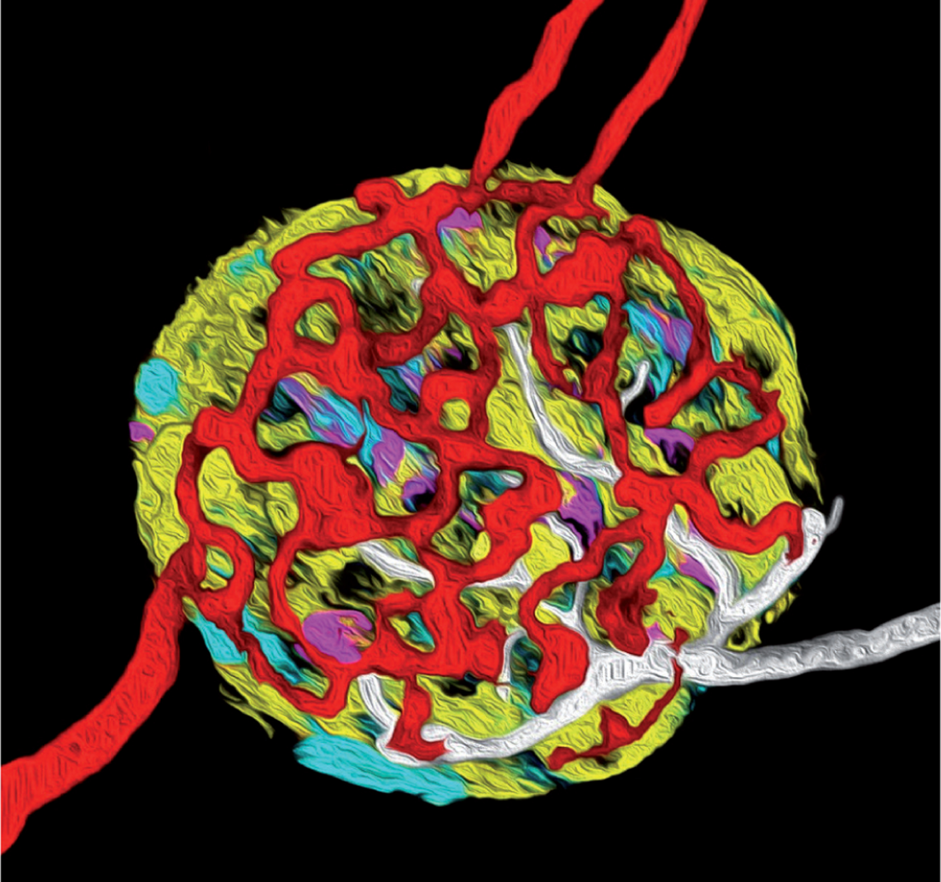 Abstract Image