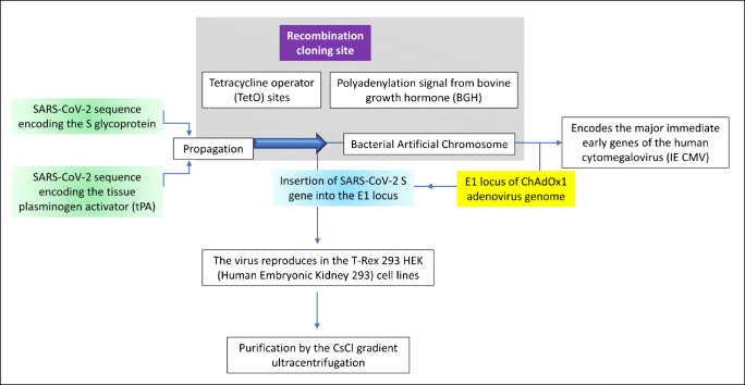 Developmental Status of the Potential Vaccines for the Mitigation of the COVID-19 Pandemic and a Focus on the Effectiveness of the Pfizer-BioNTech and Moderna mRNA Vaccines.