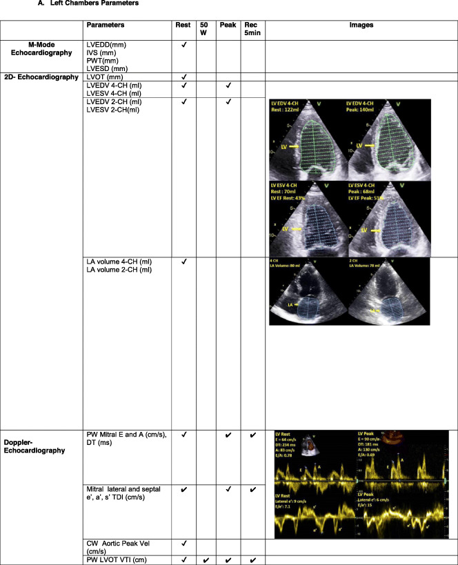 A multicentric quality-control study of exercise Doppler echocardiography of the right heart and the pulmonary circulation. The RIGHT Heart International NETwork (RIGHT-NET).