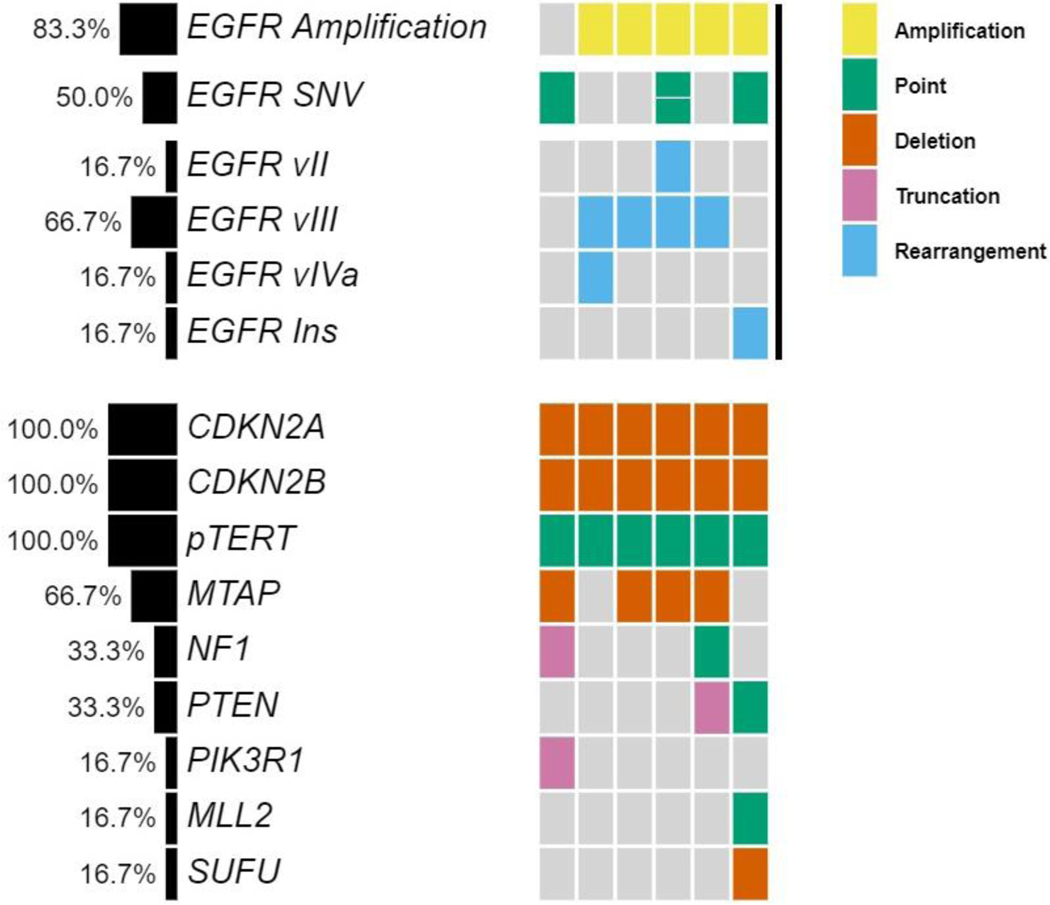 Clinical Experience using Osimertinib in Patients with Recurrent Malignant Gliomas Containing <i>EGFR</i> Alterations.