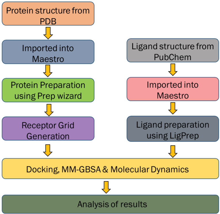 <i>In silico</i> approach towards the identification of potential inhibitors from <i>Curcuma amada</i> Roxb against <i>H. pylori</i>: ADMET screening and molecular docking studies.