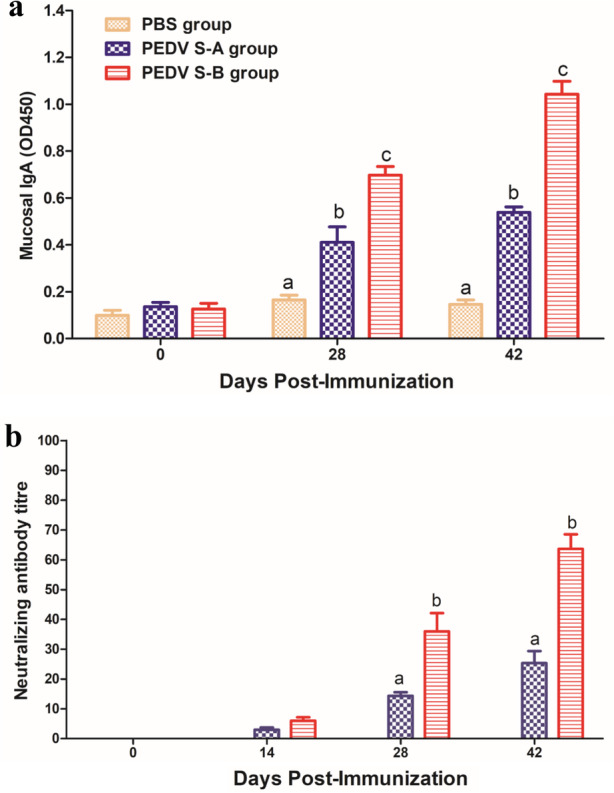 Inactivated Pseudomonas PE(ΔIII) exotoxin fused to neutralizing epitopes of PEDV S proteins produces a specific immune response in mice.