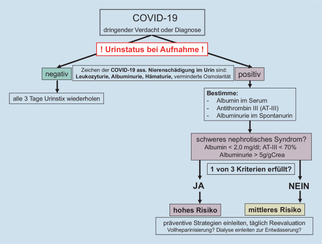 [COVID-19 and the kidneys-Clinical aspects].