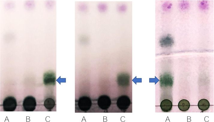 Isolation and identification of milk oligosaccharide-degrading bacteria from the intestinal contents of suckling rats.