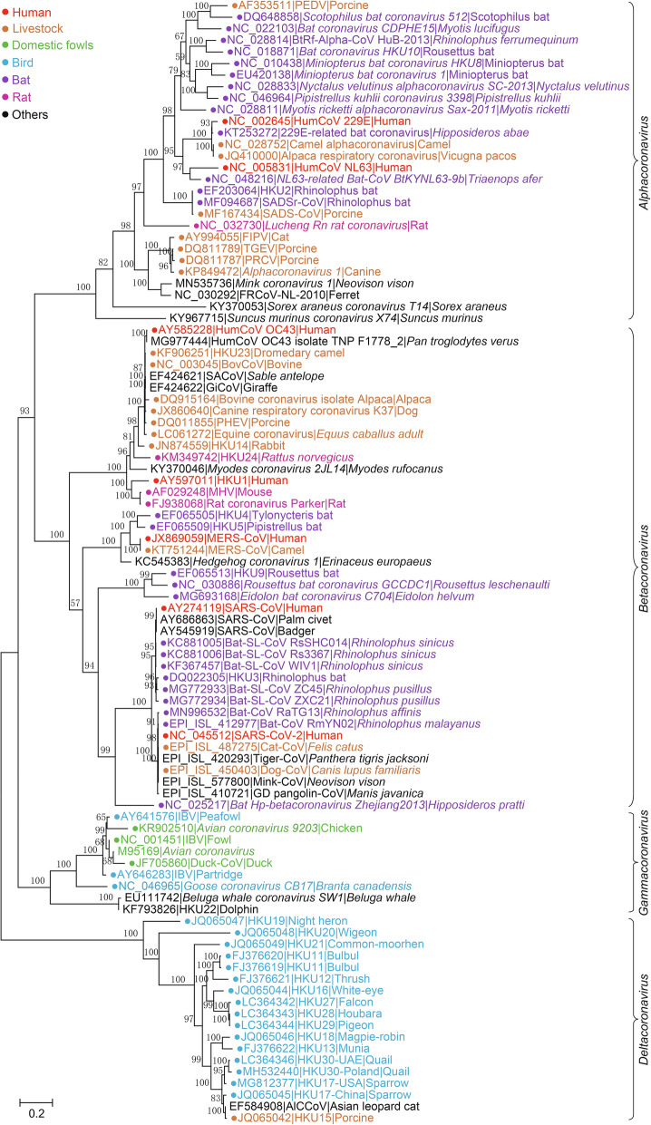 The taxonomy, host range and pathogenicity of coronaviruses and other viruses in the <i>Nidovirales</i> order.