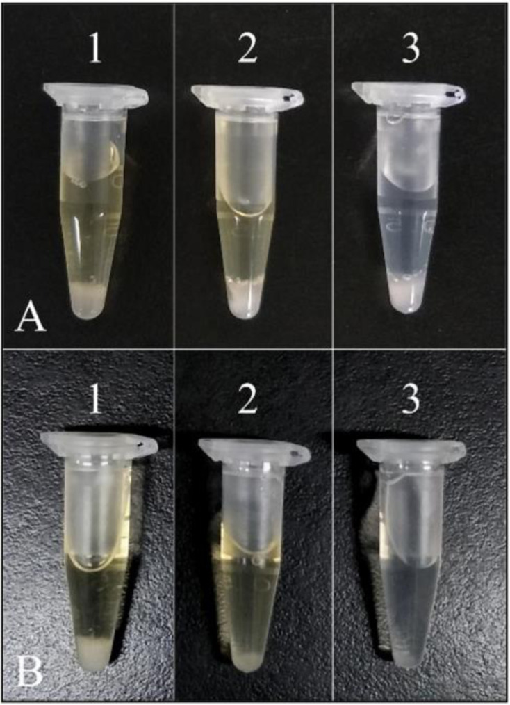 Fibrinolytic characteristics of <i>Bacillus subtilis</i> G8 isolated from natto.