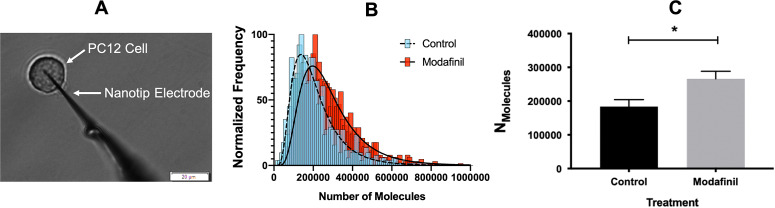 Combined electrochemistry and mass spectrometry imaging to interrogate the mechanism of action of modafinil, a cognition-enhancing drug, at the cellular and sub-cellular level.