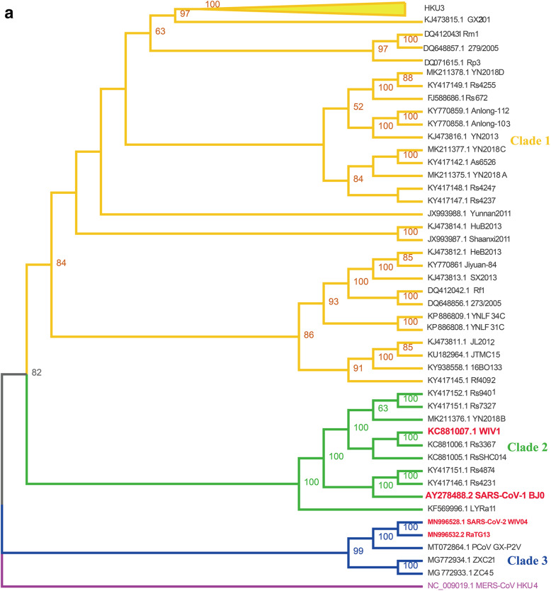 Severe acute respiratory syndrome (SARS) related coronavirus in bats.