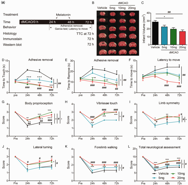 Melatonin Protects Against Ischemic Brain Injury by Modulating PI3K/AKT Signaling Pathway via Suppression of PTEN Activity.