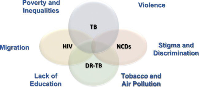 New Developments and Insights in the Improvement of <i>Mycobacterium tuberculosis</i> Vaccines and Diagnostics Within the End TB Strategy.