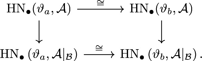 Polytope Novikov homology.