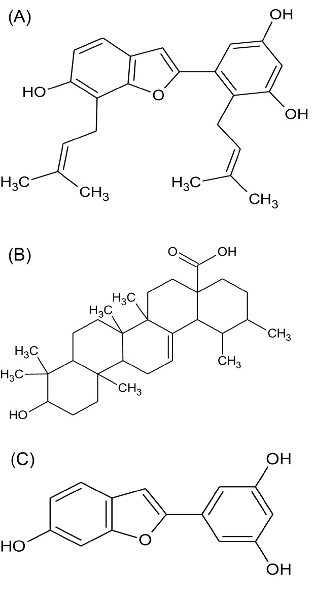 Characterization of isolated compounds from <i>Morus</i> spp. and their biological activity as anticancer molecules.