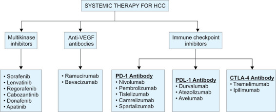 Updates on the Diagnosis and Management of Hepatocellular Carcinoma.