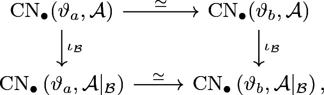 Polytope Novikov homology.