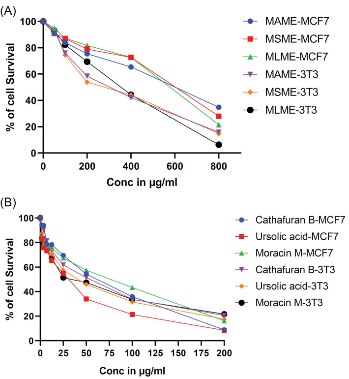 Characterization of isolated compounds from <i>Morus</i> spp. and their biological activity as anticancer molecules.