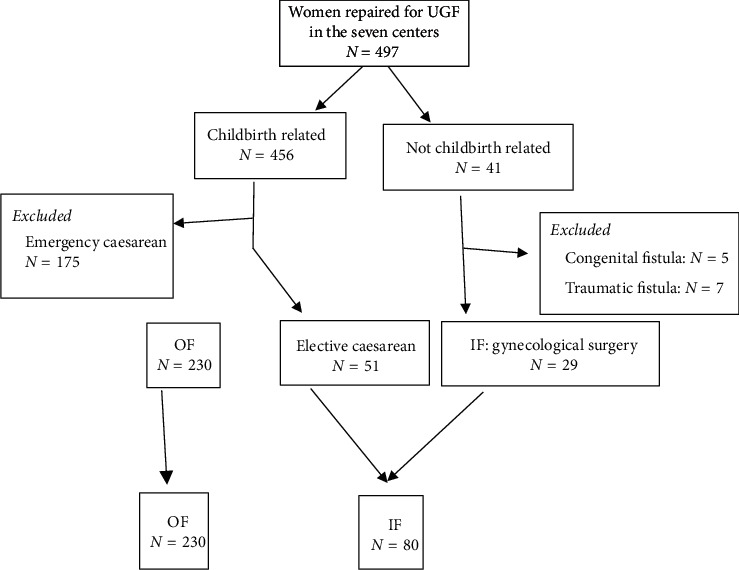 Characteristics of Obstetric and Iatrogenic Urogenital Fistulas in Burkina Faso: A Cross-Sectional Study.