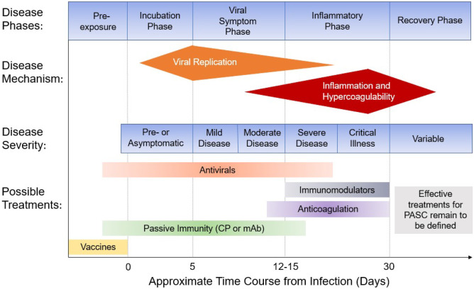 Therapeutic Options for Coronavirus Disease 2019 (COVID-19): Where Are We Now?