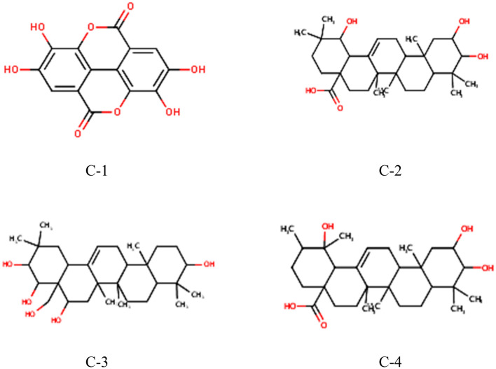 In silico investigation of saponins and tannins as potential inhibitors of SARS-CoV-2 main protease (M<sup>pro</sup>).