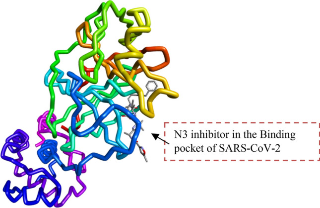 In silico investigation of saponins and tannins as potential inhibitors of SARS-CoV-2 main protease (M<sup>pro</sup>).