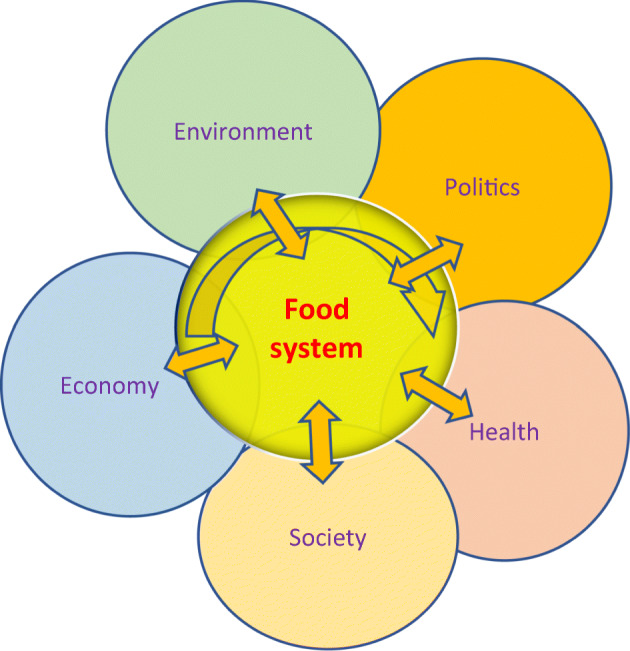 Towards Post-Pandemic Sustainable and Ethical Food Systems.