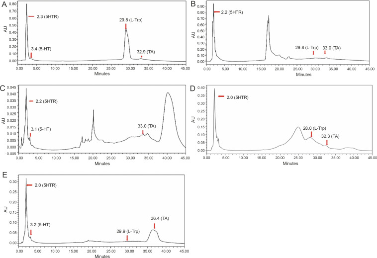 Relative profiling of L-tryptophan derivatives from selected edible mushrooms as psychoactive nutraceuticals to inhibit P-glycoprotein: a paradigm to contest blood-brain barrier.