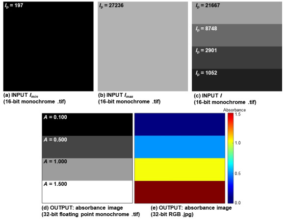 AbsorbanceQ: An App for Generating Absorbance Images from Brightfield Images.