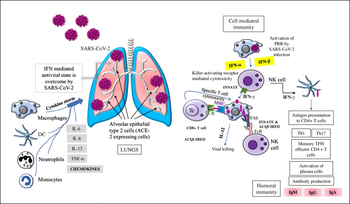 A Review on the Effectivity of the Current COVID-19 Drugs and Vaccines: Are They Really Working Against the Severe Acute Respiratory Syndrome Coronavirus 2 (SARS-CoV-2) Variants?