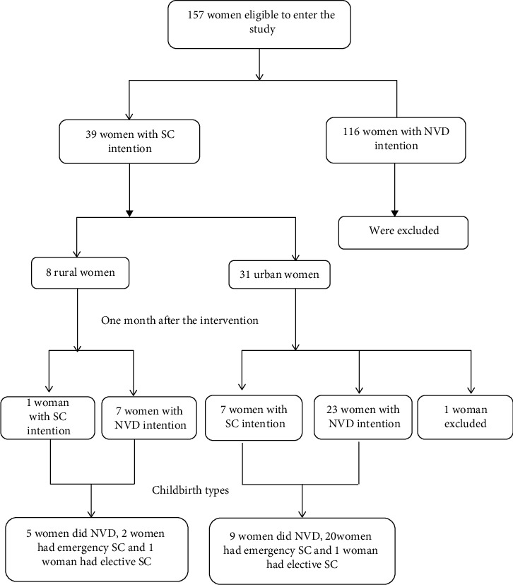 Using Social Marketing to Reduce Intention of Cesarean Section in Iranian Women.