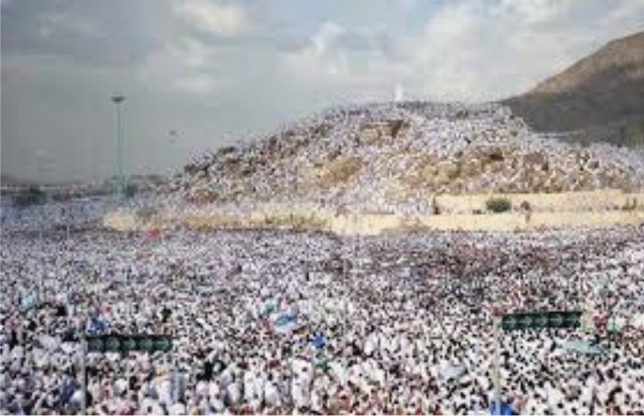 Hajj and Umrah management during COVID-19.