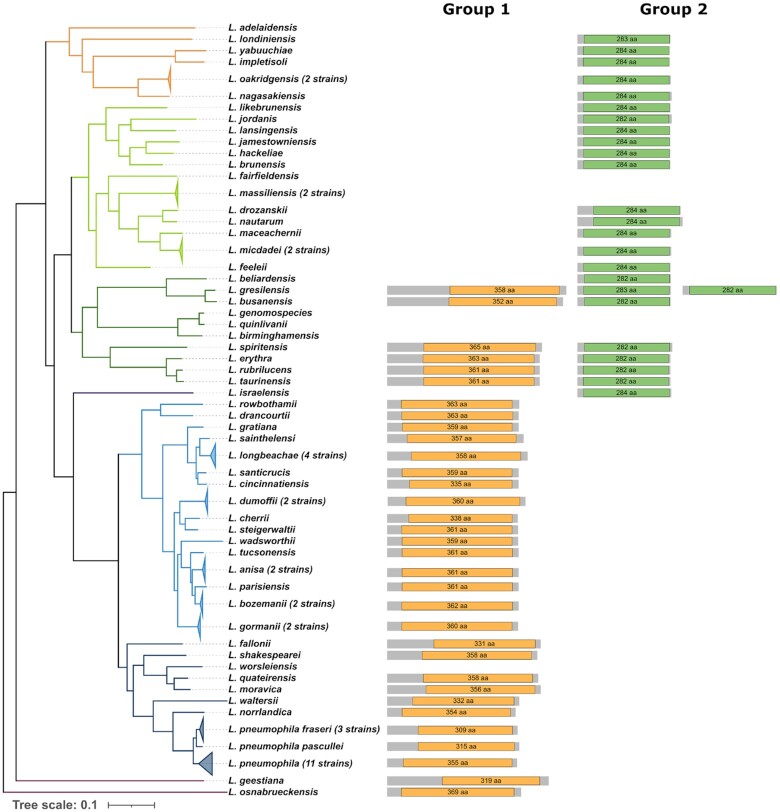 Patho-epigenetics: histone deacetylases as targets of pathogens and therapeutics.