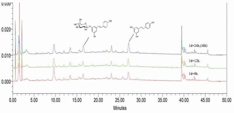 Alteration of resveratrol-dependent glycosyltransferase activity by elicitation in DJ-526 rice.