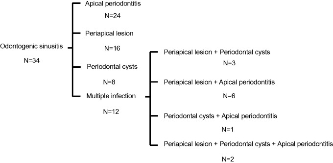 The Prevalence of Odontogenic Pathology in Patients With Bilateral Rhinosinusitis.