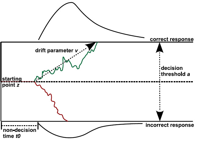 The Influence of the BDNF Val66Met Polymorphism on Mechanisms of Semantic Priming: Analyses with Drift-Diffusion Models of Masked and Unmasked Priming.