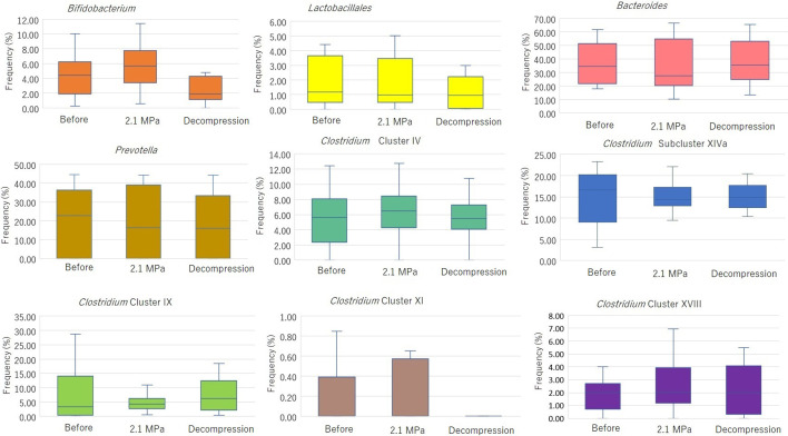 The composition of the human fecal microbiota might be significantly associated with fecal SCFA levels under hyperbaric conditions.