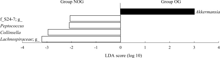 Gut microbial composition of elderly women born in the Japanese longevity village Ogimi.