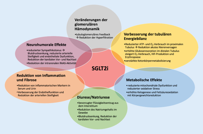 [SGLT2 inhibitors: What is new?]